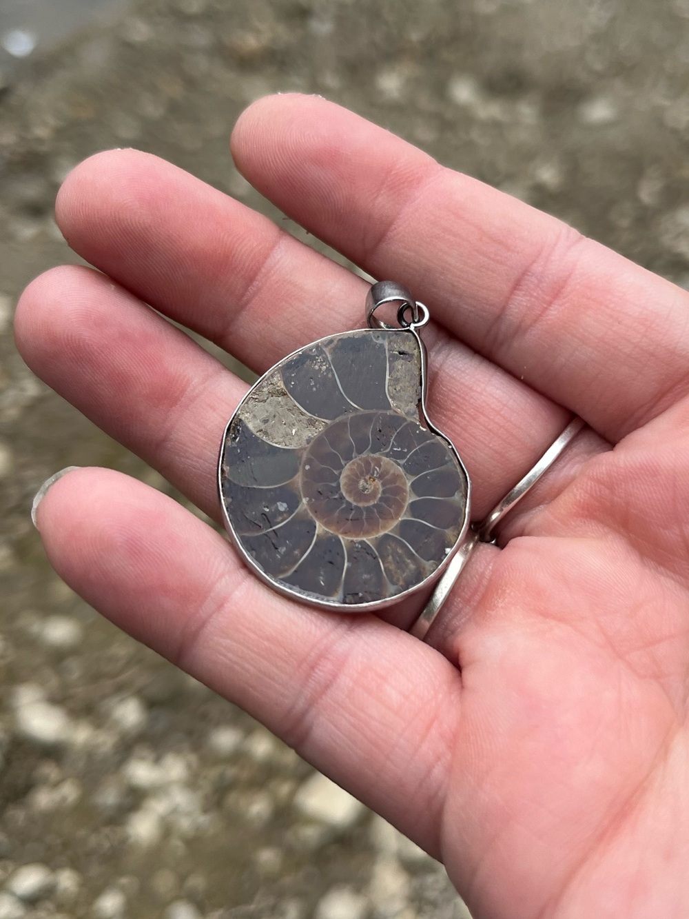 Vintage ammonite fossil pendant